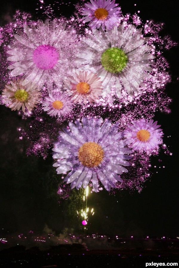 Daisy Fireworks